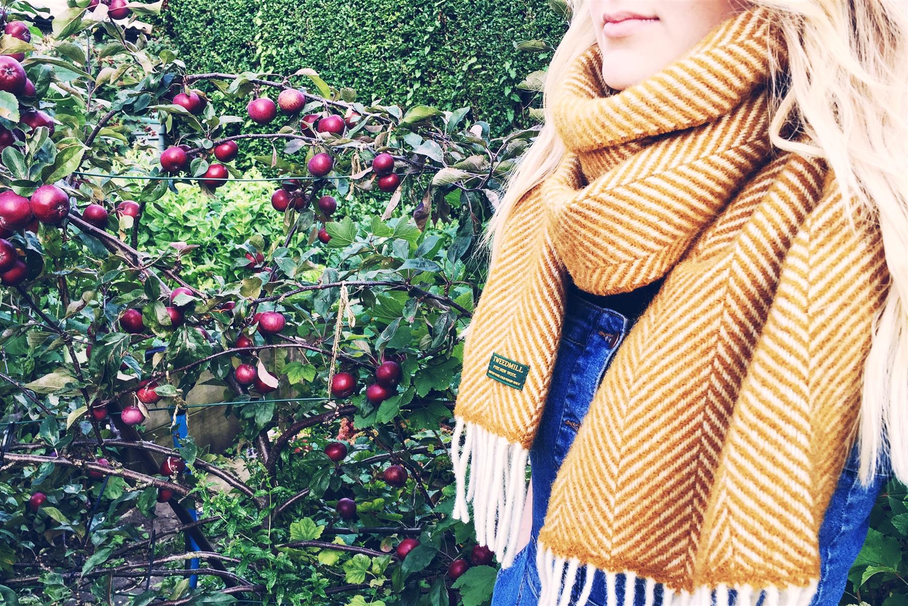 Herringbone Pure New Wool Scarf - Mustard - Image 5
