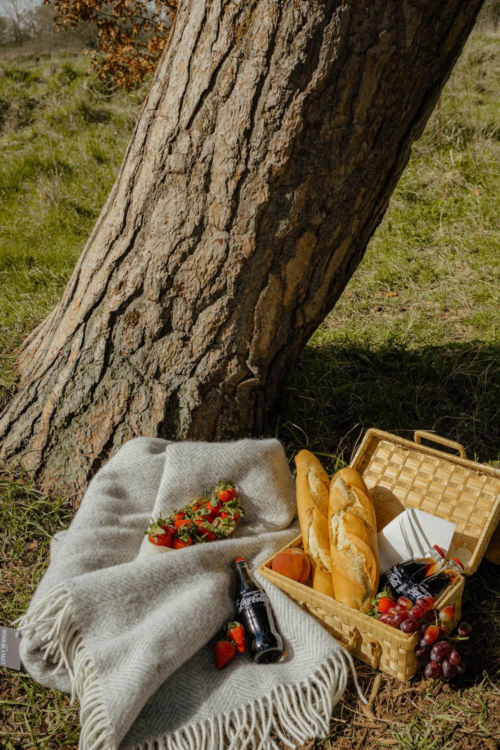 Herringbone Pure New Wool Throw - Silver Grey - Image 4