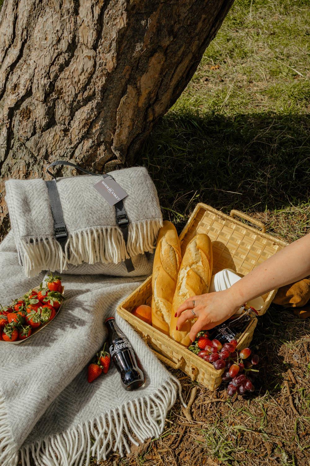 Herringbone Waterproof Polo Picnic Blanket - Silver Grey - Image 2