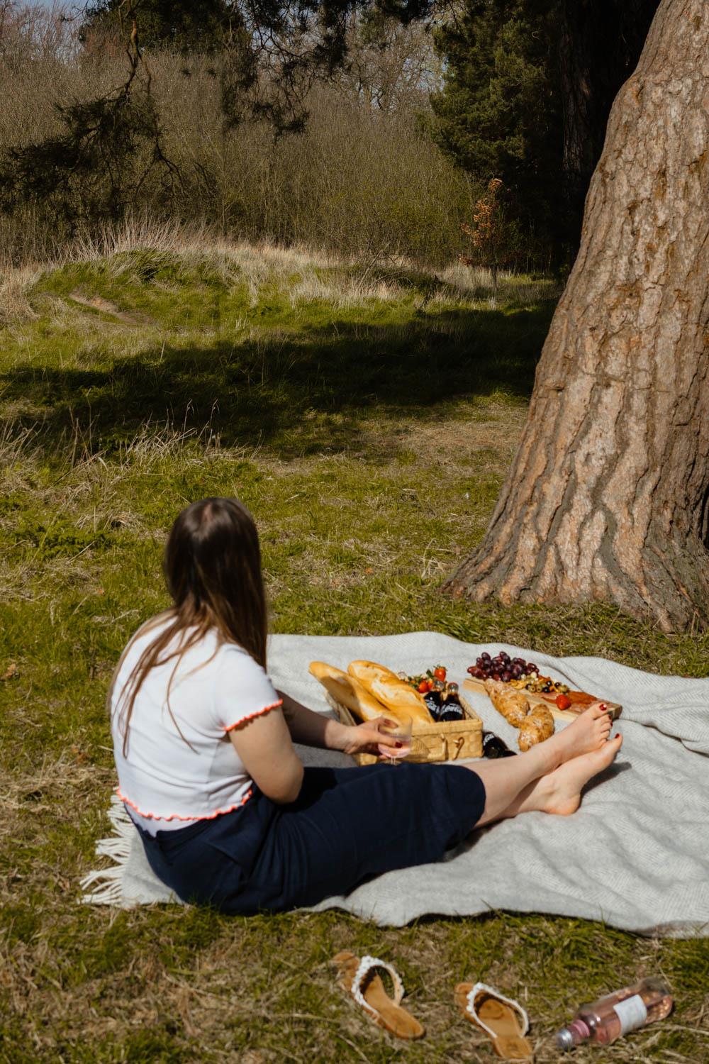 Herringbone Waterproof Polo Picnic Blanket - Silver Grey - Image 4