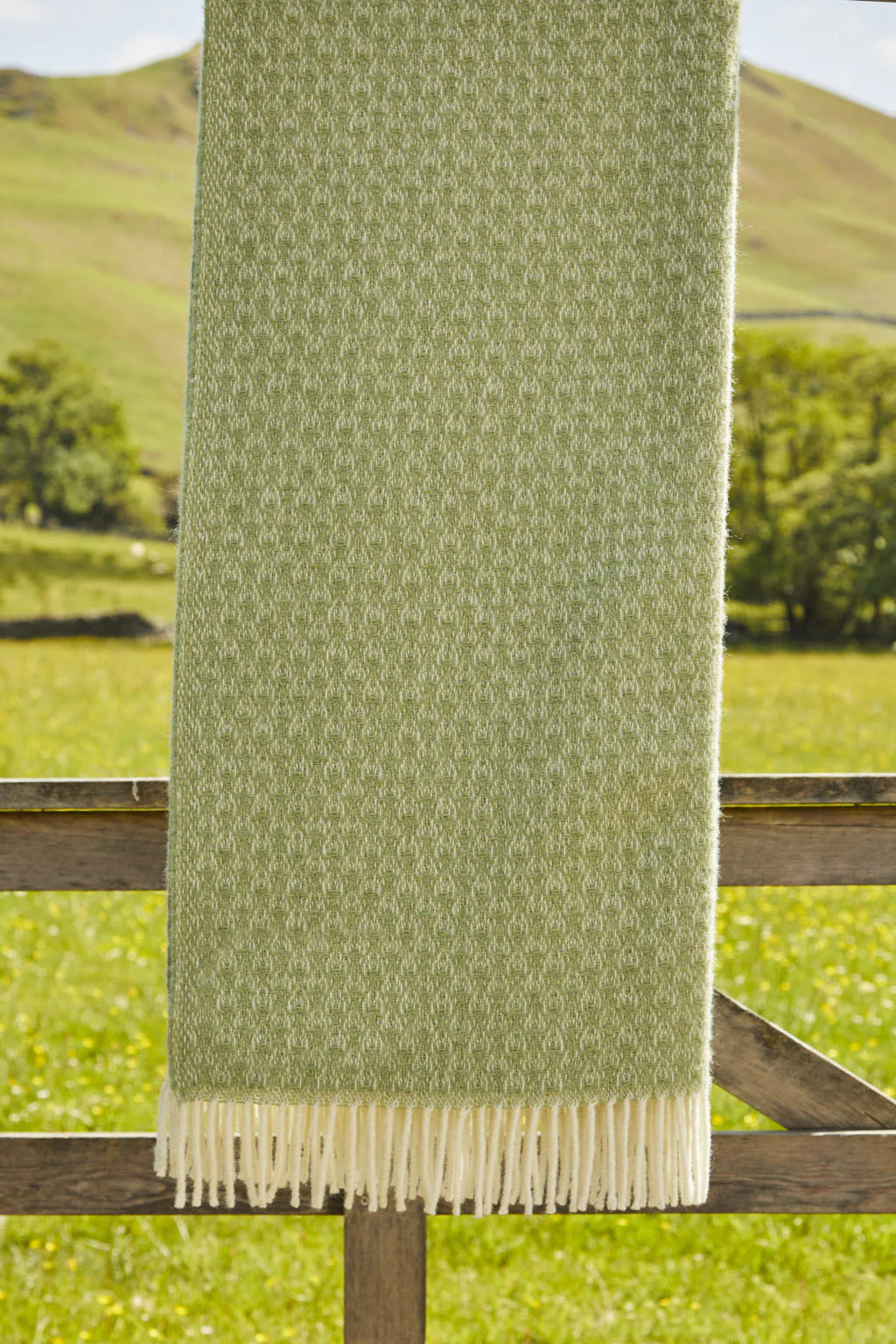 Isobel Crescent Pure New Wool Throw - Fern - Image 3