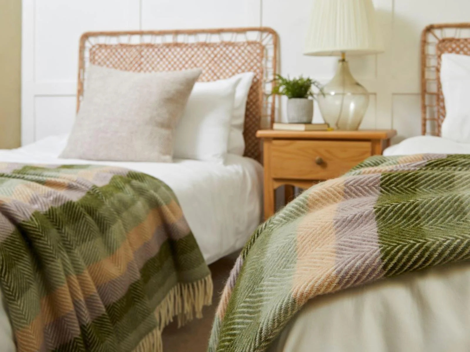 Stripe Pure New Wool Throw - Botanical - Image 3