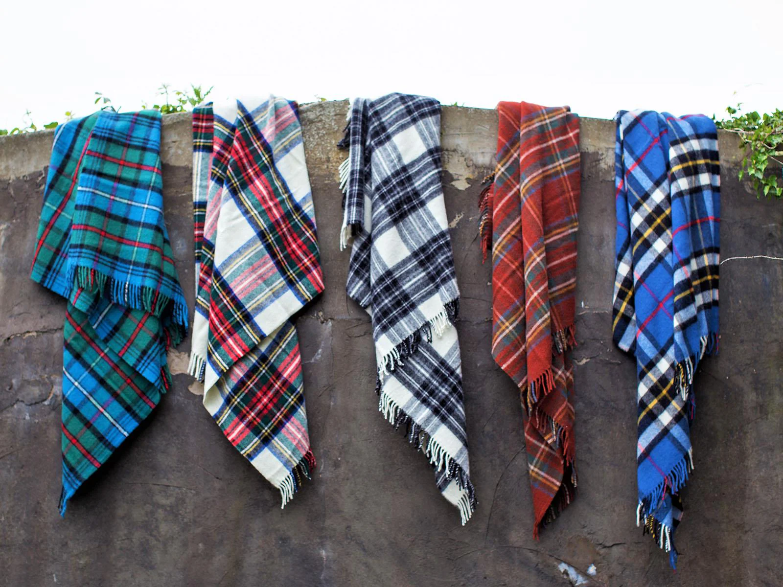 Tartan Pure New Wool Blanket - Dress Thompson - Image 4