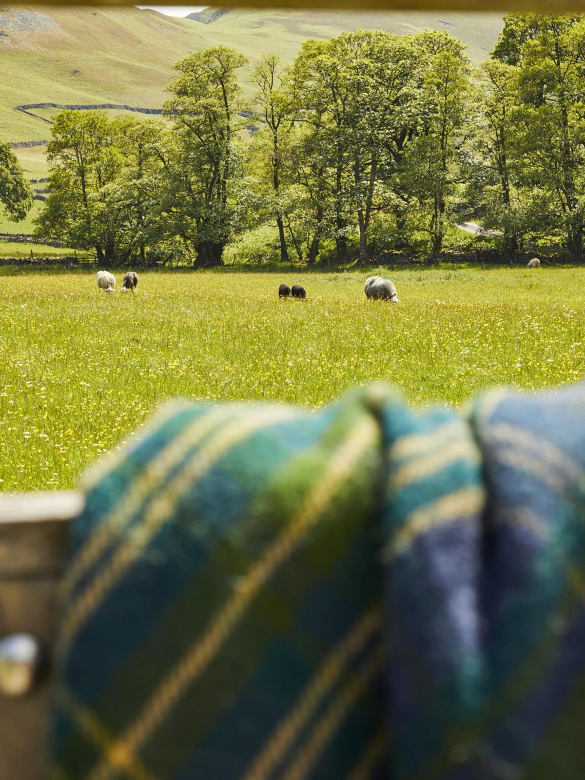 Tartan Pure New Wool Blanket - Forest - Image 5