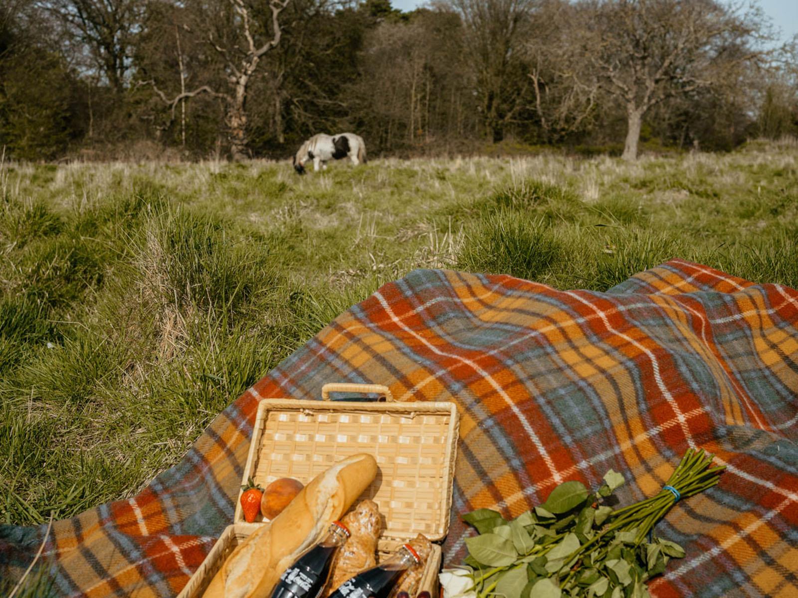 Tartan Waterproof Eventer Picnic Blanket - Antique Buchanan - Image 3