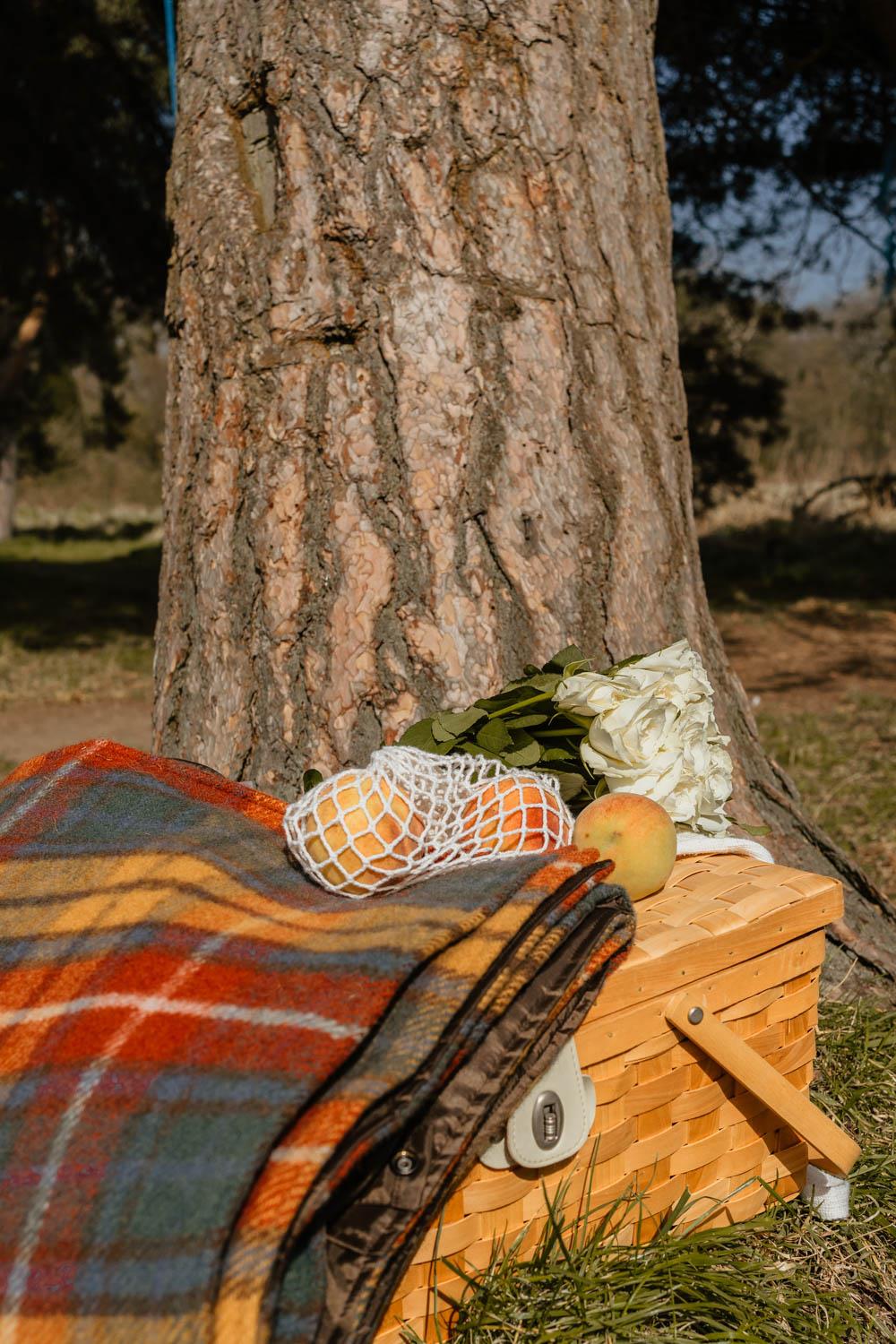 Tartan Waterproof Eventer Picnic Blanket - Antique Buchanan - Image 7