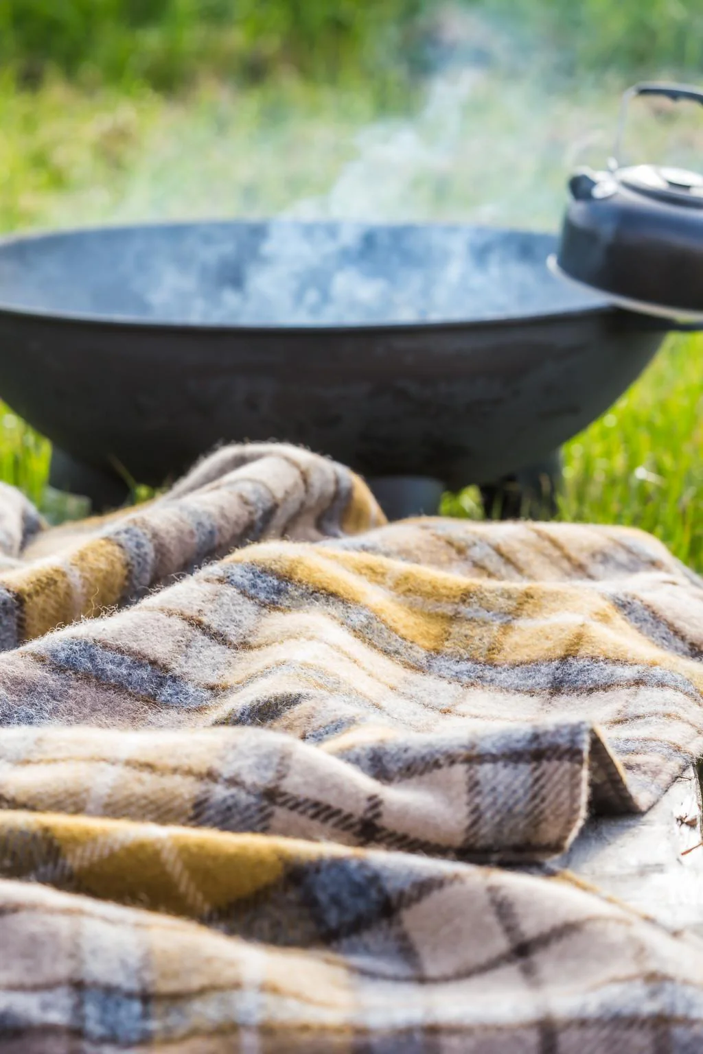 Tartan Waterproof Eventer Picnic Blanket - Natural Buchanan - Image 4