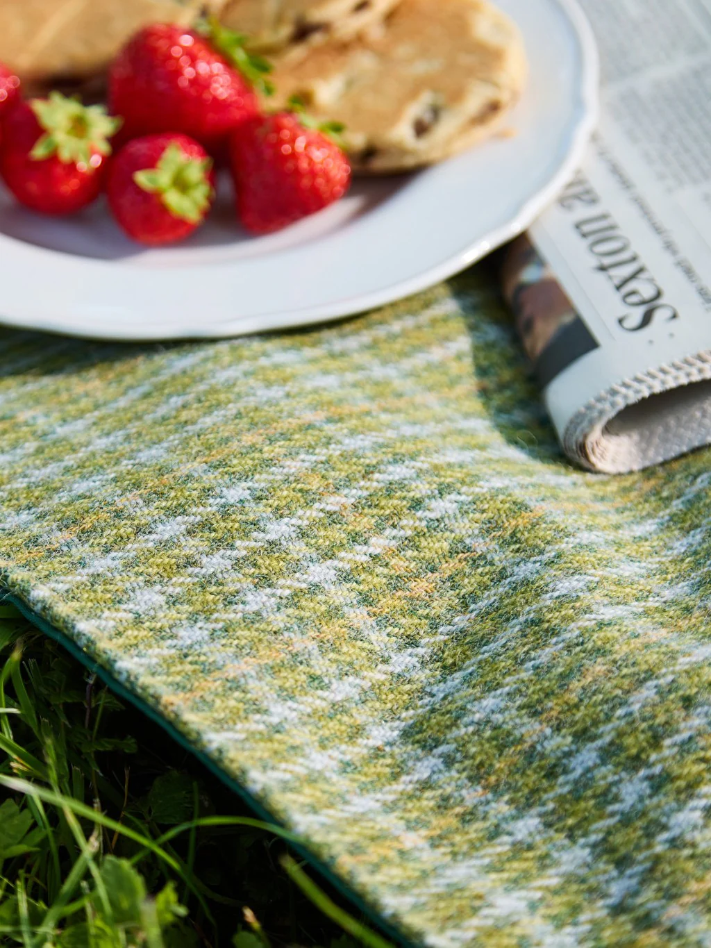 Tweed Waterproof Walker Companion Rug - Birch Green - Image 5